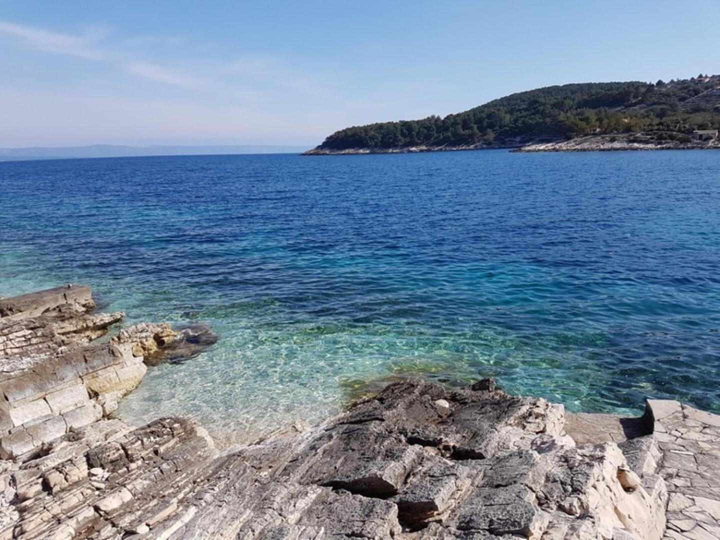 Villa Bistrana - 15m from sea Vela Luka Exteriör bild
